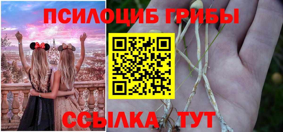 Галлюциногенные грибы мицелий  Вход с VPN  как найти   Вязьма 